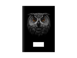 Obrázek z Školní sešit A4 440 sova 